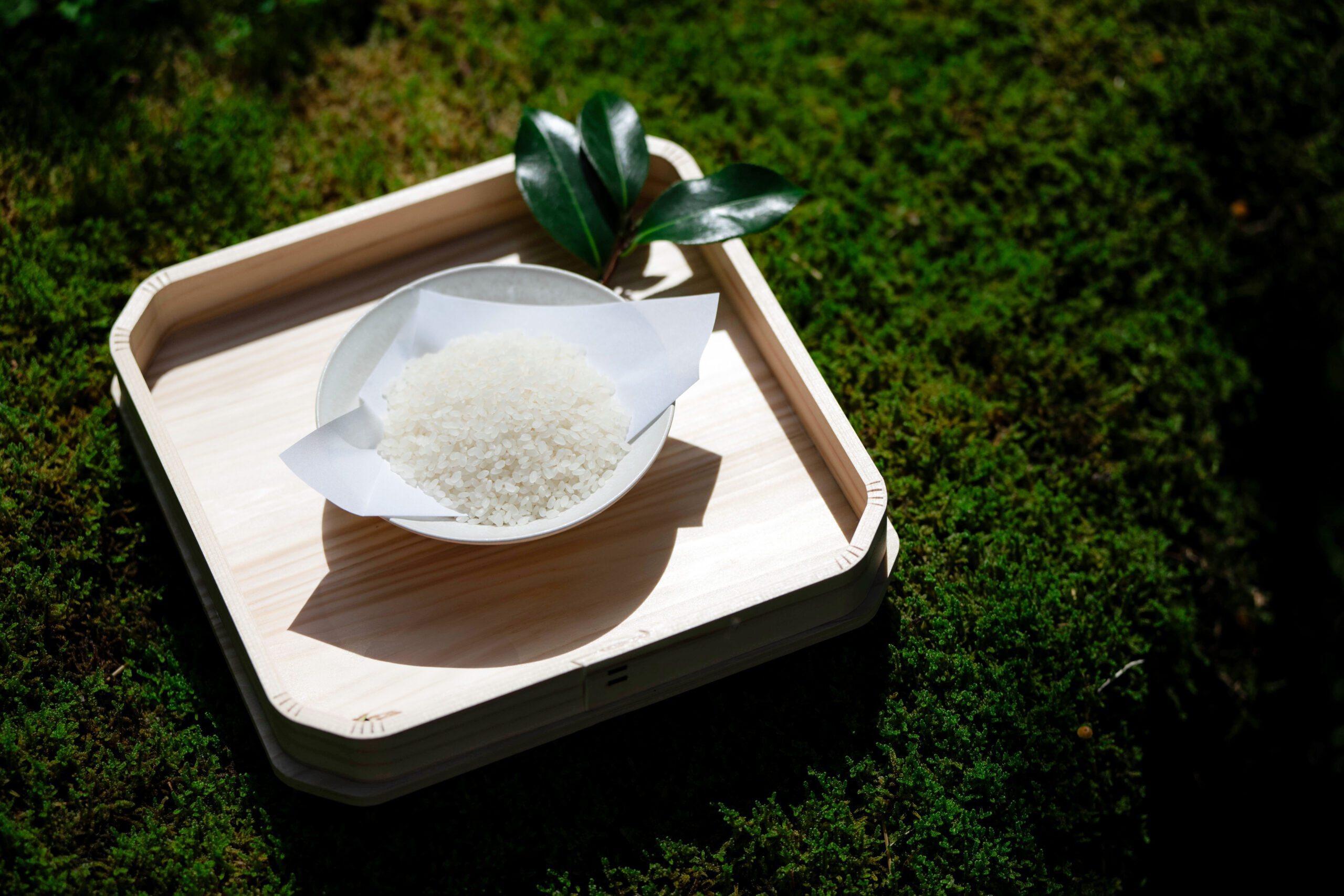 山の恵みの滞在イメージ